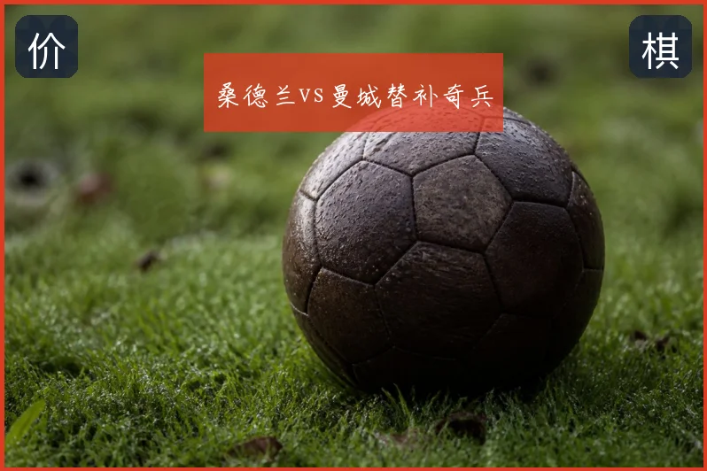 桑德兰vs曼城替补奇兵
