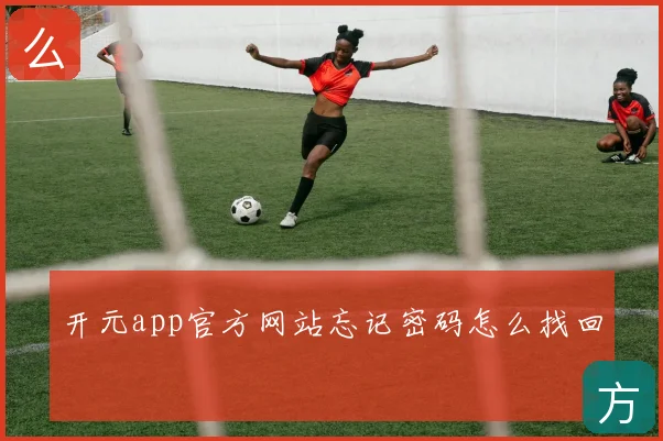 开元app官方网站忘记密码怎么找回